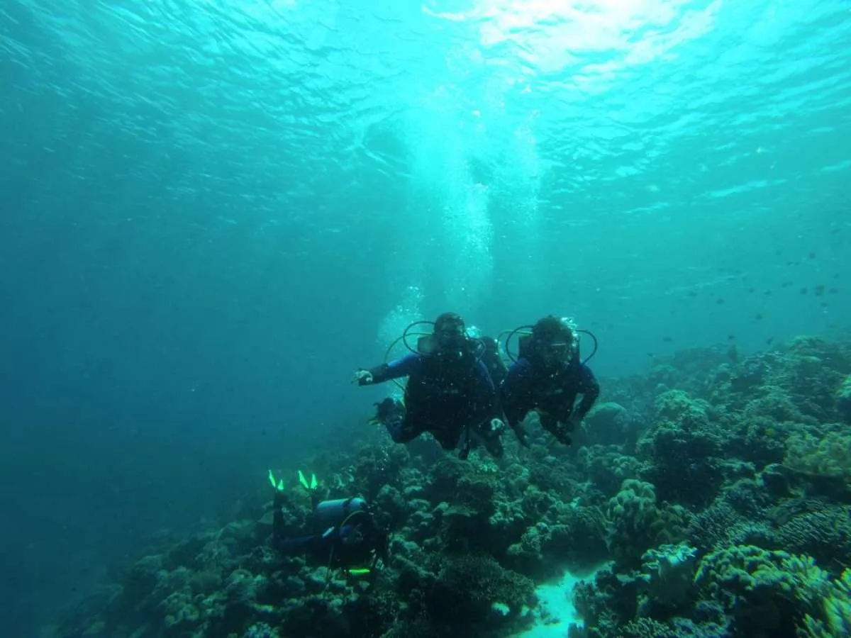 Wakatobi bidik 30.000 kunjungan