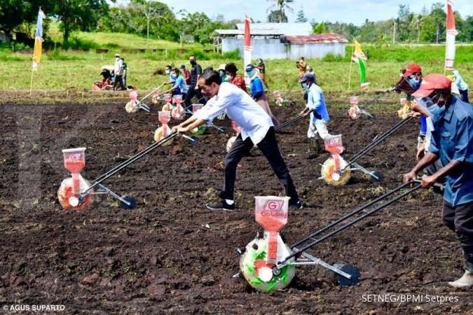 Jokowi minta maksimalkan lahan pertanian 7 juta hektare di Papua Barat