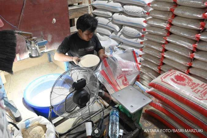 Janggal, Kenapa Beras Tetap Langka dan Mahal padahal Surplus 3,6 Juta Ton?