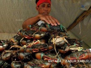 Kepiting dan Rajungan semakin diminati di pasar internasional