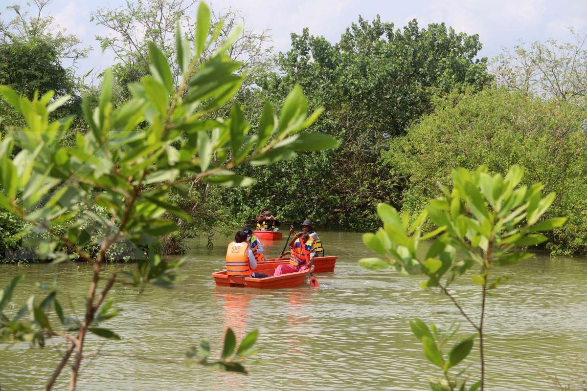 Ekosistem mangrove 