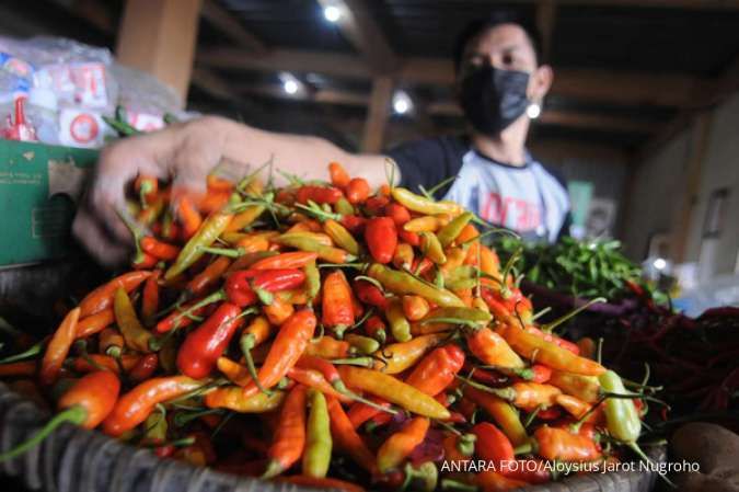 Wadah dan Pemasaran, Penting Bagi Usaha Sambal Kemasan