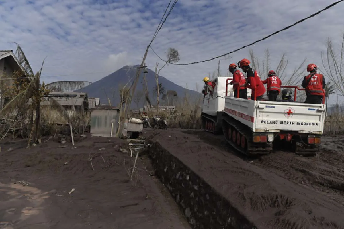 Hari kelima pasca erupsi Semeru, tim gabungan temukan total 43 korban meninggal dunia