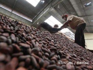 Kemarau di Afrika menurunkan produksi kakao dunia