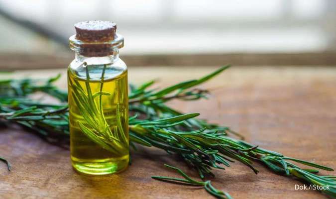 4 Manfaat Rosemary Oil untuk Kulit, Ampuh Pudarkan Bekas Jerawat!