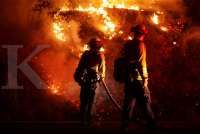 Kerugian Asuransi Global Akibat Bencana Alam US$ 80 Miliar di Semester I 