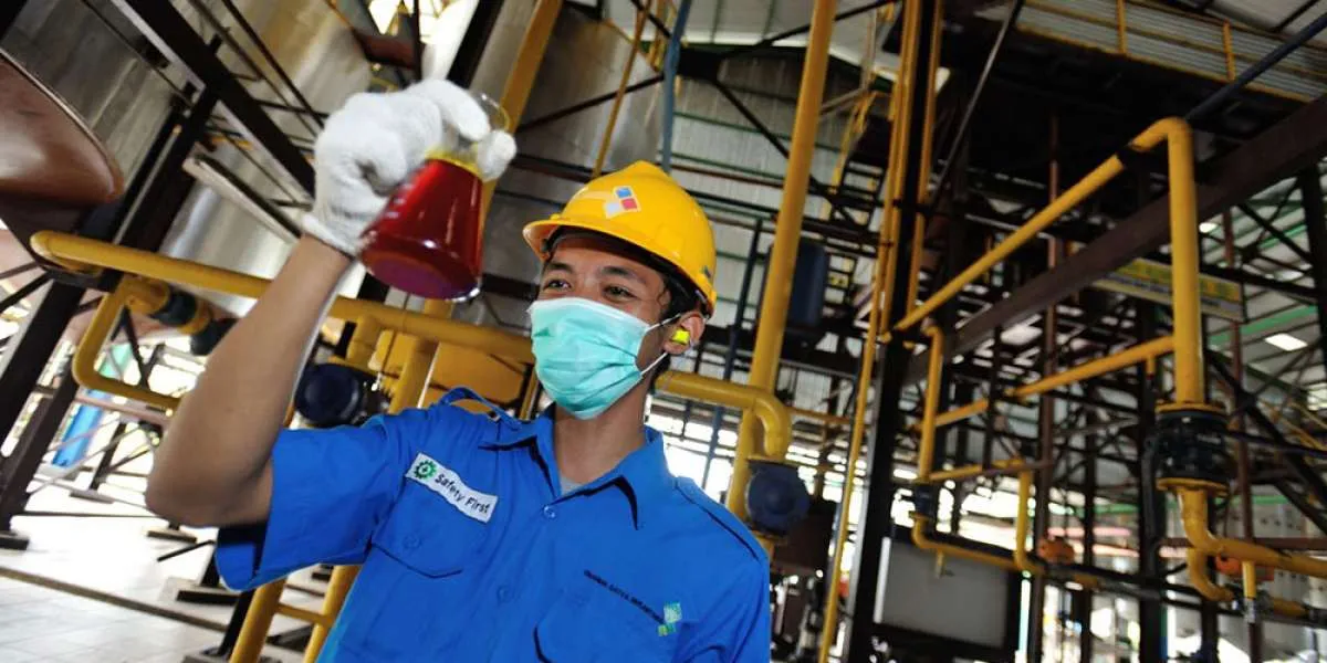 Laba Dharma Satya Nusantara (DSNG) Meningkat 110% Pada Kuartal I 2022