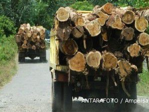 Kemenhut ikut usut illegal logging di Pulau Padang