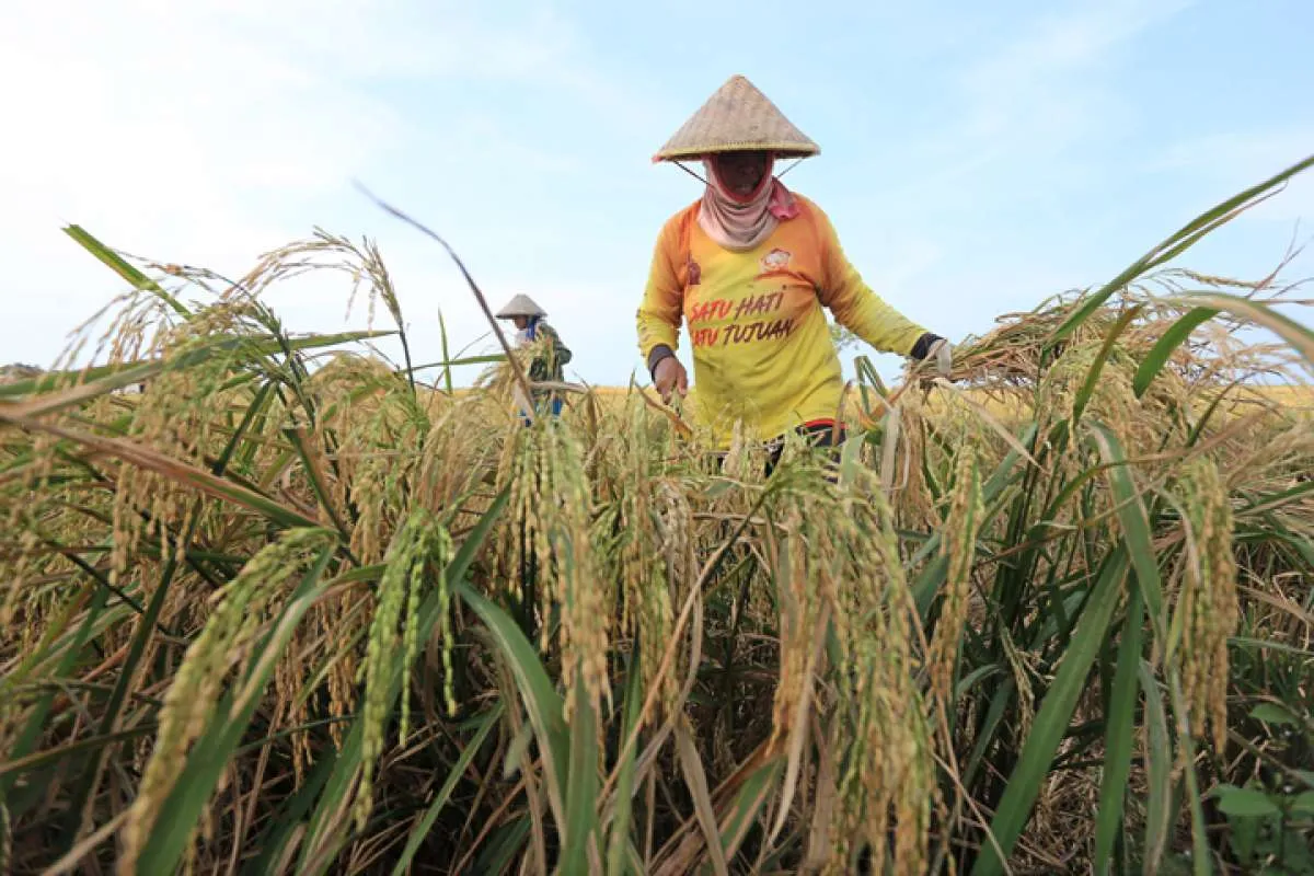 HKTI Dorong Pemanfaatan Keanekaragaman Hayati Untuk Ketahanan Pangan Nasional