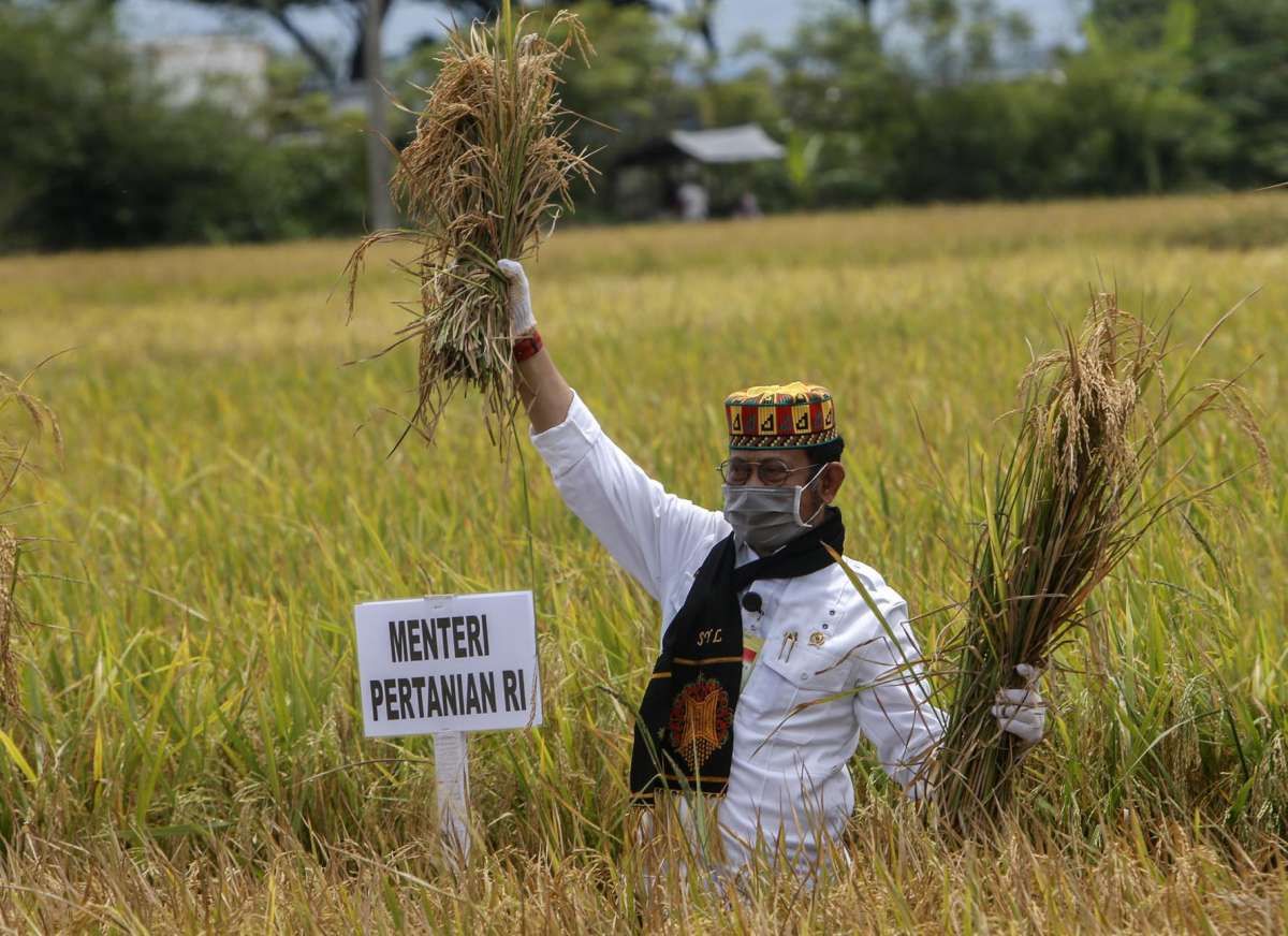 Kata Mentan, Impor Beras 1 Juta Ton Masih Wacana