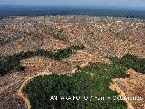 Perpres Moratorium Hutan bakal segera terbit