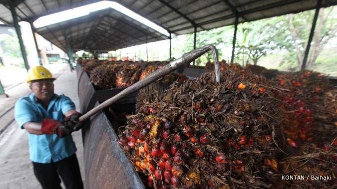 PTPN III gandeng Ferostal bangun pabrik oleokimia