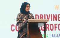 Komitmen Cocoa Life Dukung Agroforestri untuk Keberlanjutan Sektor Kakao di Indonesia