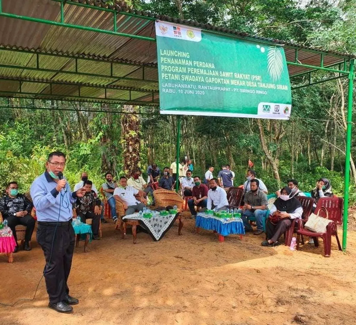 Anak usaha Musim Mas dorong peningkatan produktivitas perkebunan sawit rakyat 