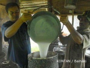 Cuaca ekstrem berlanjut, produksi karet bisa terpangkas hingga 4%