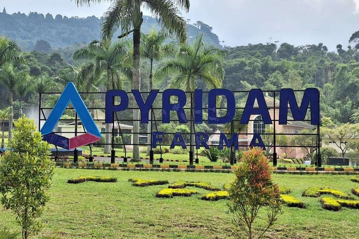 Target Pyridam Farma (PYFA) Mengantongi Pendapatan Rp 2,5 Triliun
