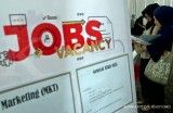 Ini lowongan pekerjaan yang paling banyak ditawarkan di JobStreet saat pandemi corona