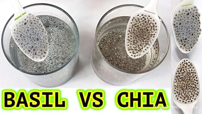 Perbedaan Chia Seed vs Biji Selasih