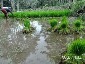 Perhutani siap berikan 500 ribu lahannya