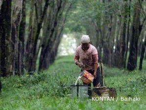 Harga karet naik menjadi US$ 5.551 per ton