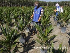 Dana kebun bibit cair Rp 200 miliar