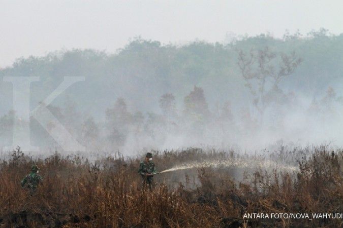 BNPB: Ada 1.545 titik api di seluruh Indonesia