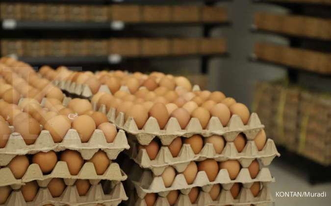 Simak 5 Manfaat Telur Ayam Untuk Kesehatan Tubuh yang Teruji Klinis