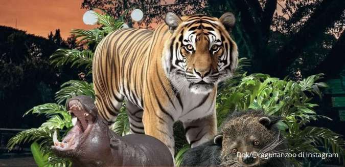 Wisata Malam di Taman Margasatwa Ragunan