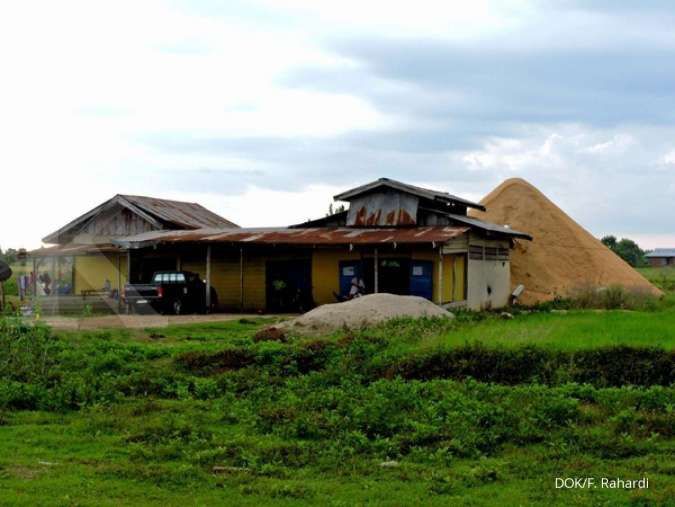 Merauke Diproyeksikan Jadi Pilar Baru Ketahanan Pangan Nasional