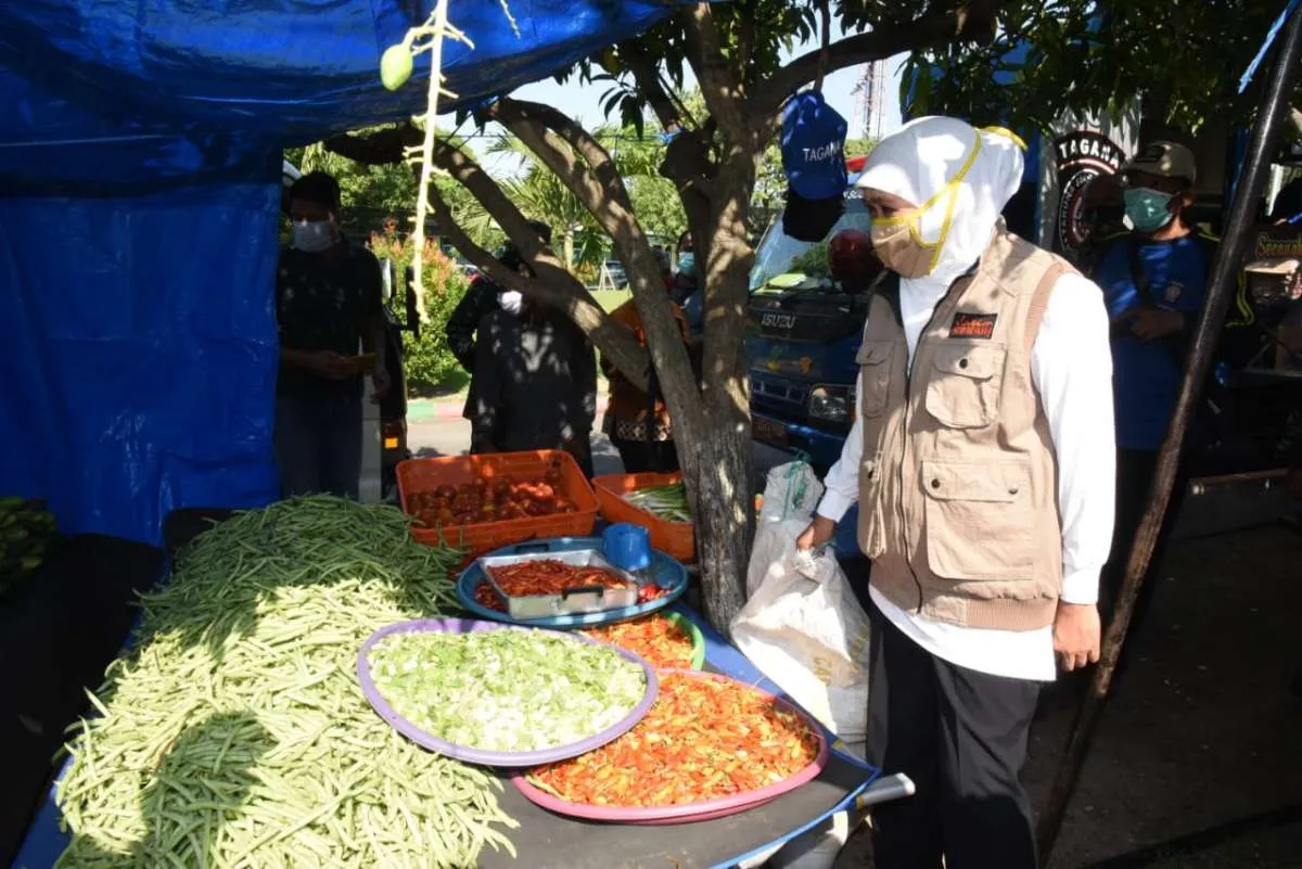 Khofifah meminta mulai Juni ini kabupaten di Jatim percepat masa musim tanam padi