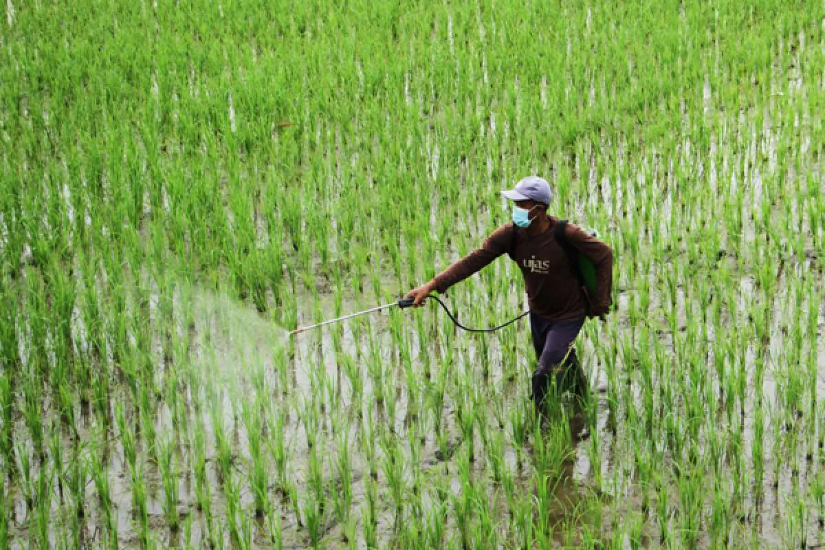 Delta Giri Bakal Bangun Pabrik Karbamat di Cikande Sebesar US$ 20 Juta