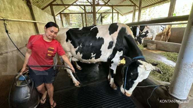 Indonesia Plans to Import 1 Mln Dairy Cows Over 2025-2028 ​