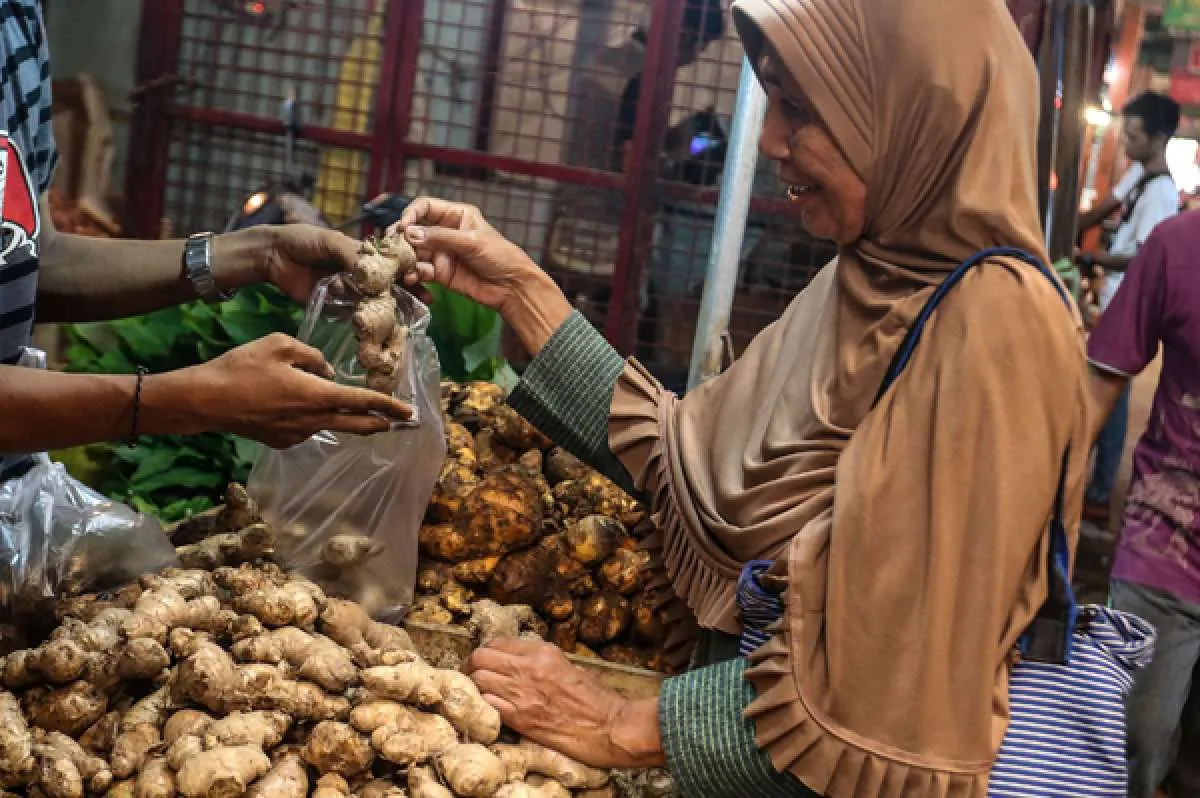 Harga bahan jamu di Solo naik, pasokan petani dan pengepul mulai langka