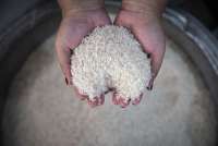 Beras Kita, Harga Mereka: HET Beras Oleh Bapanas Jadi Gurauan di Pasar