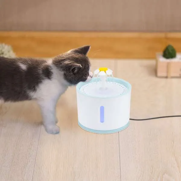 Air Mancur Minum Kucing