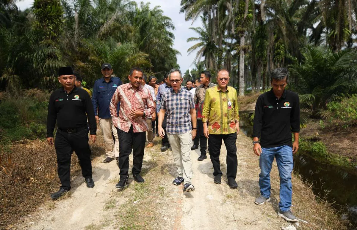 OJK Dorong Pebankan Salurkan Kredit ke Petani Sawit