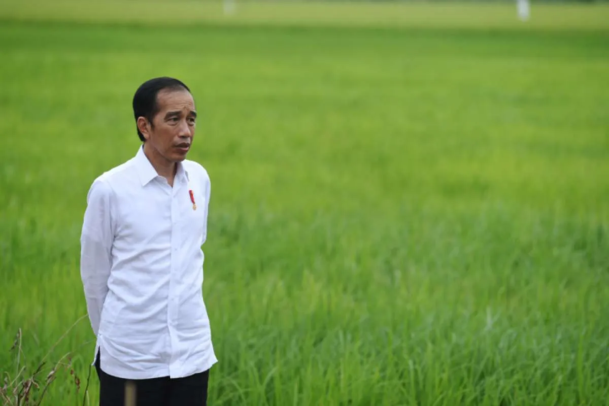 Kasus positif Covid-19 naik, ini tiga pesan utama dari Presiden Jokowi