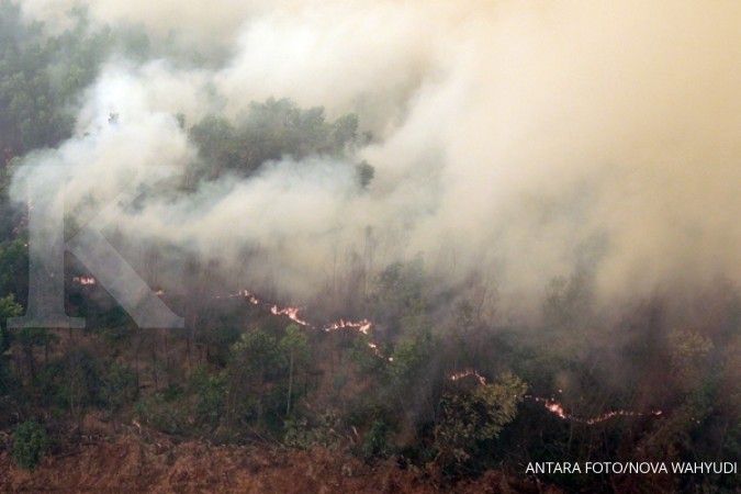 18 Titik panas terpantau di Riau