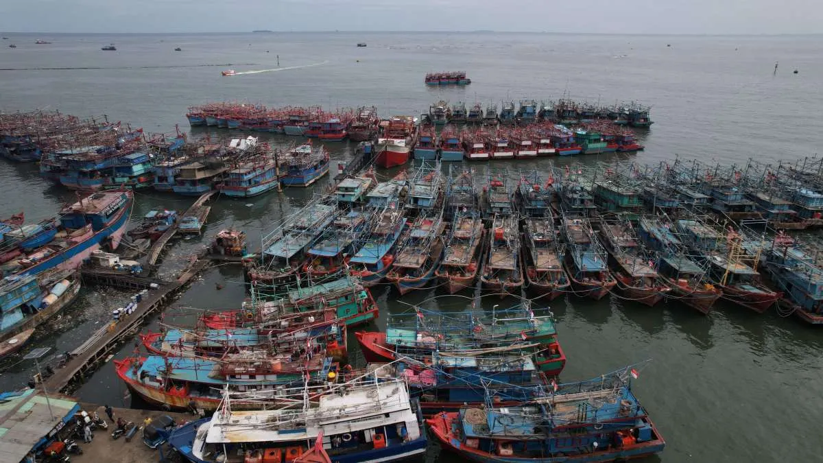 Selain Ikan Sapu-sapu, Cek 75 Ikan Invasif yang Dilarang untuk Dibudidayakan