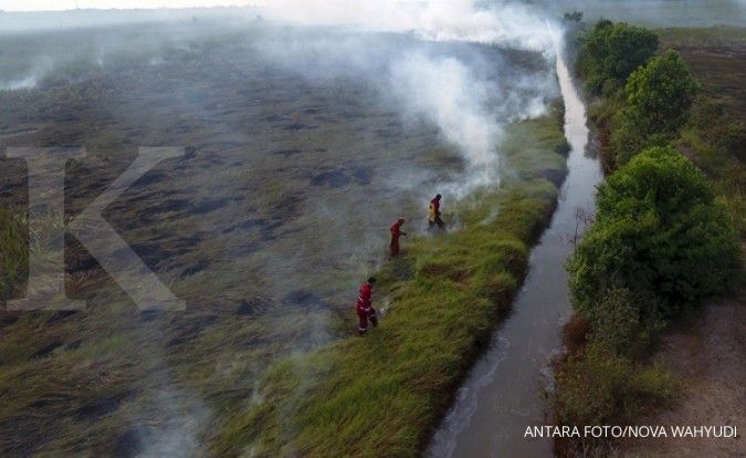Selama Juli, kebakaran hutan meningkat