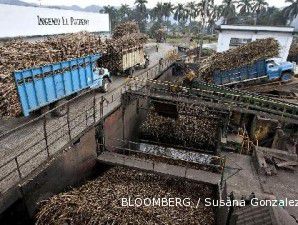 Dana restrukturisasi mesin industri gula nyaris ludes