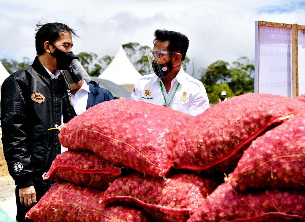 Tahun 2021 Pemerintah Berambisi Membangun Lumbung Pangan Nasional di Setiap Provinsi