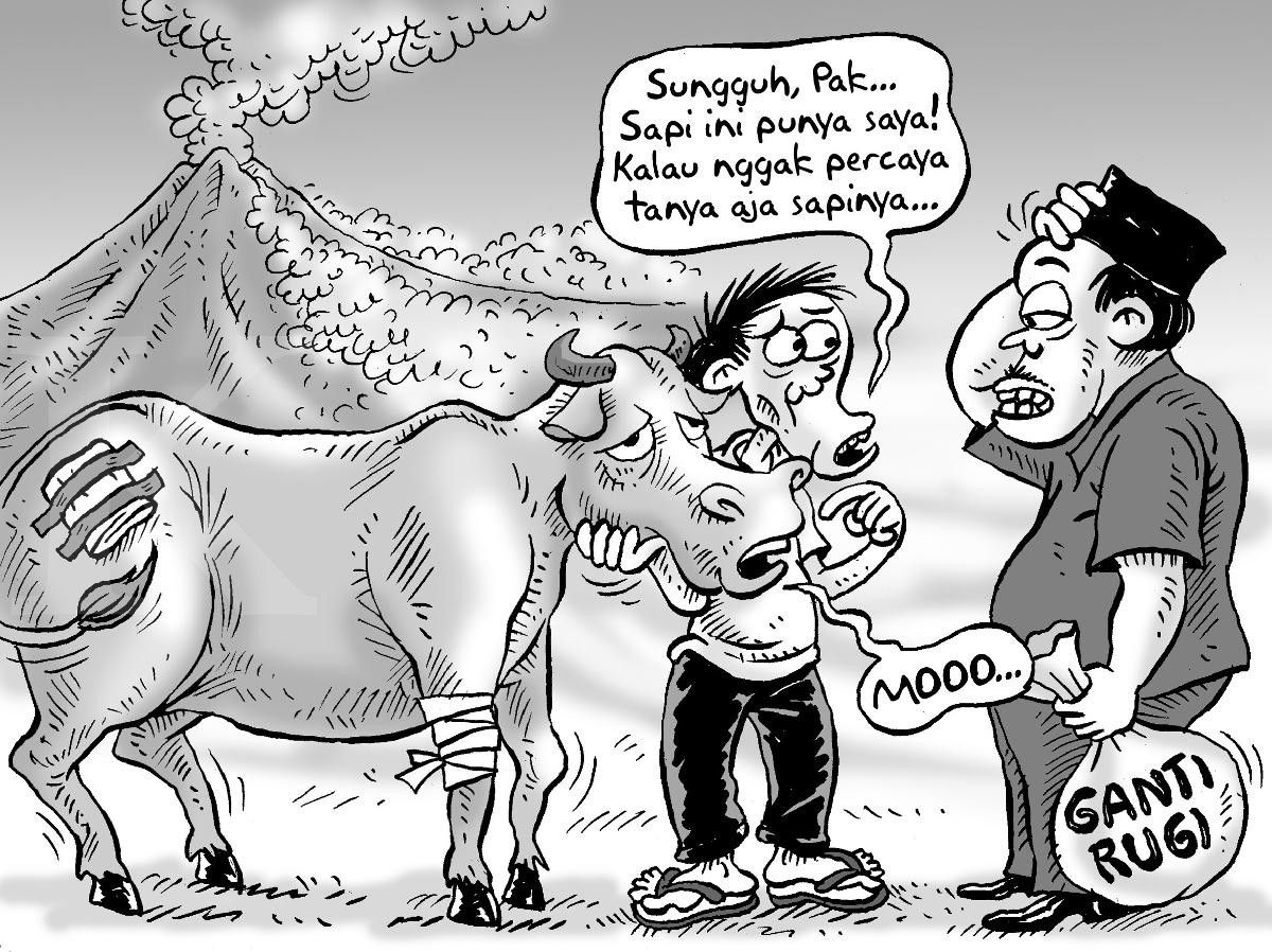  Pembelian Sapi Korban Merapi