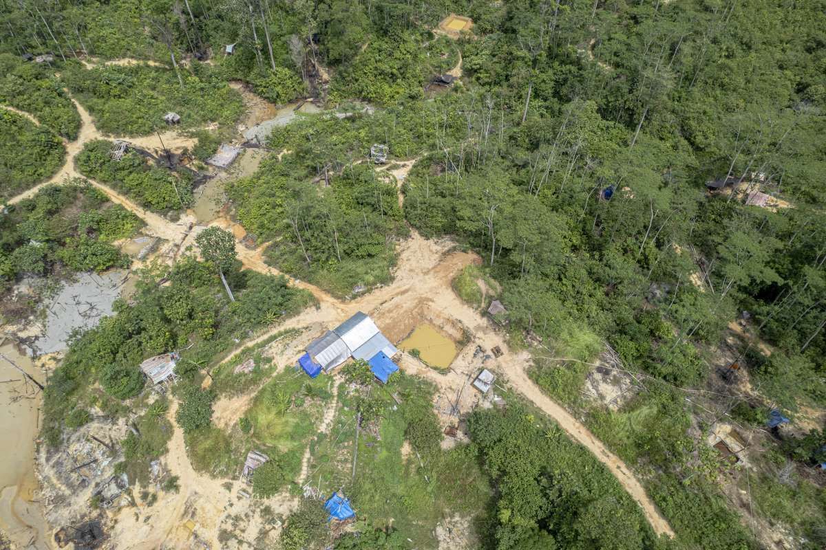 Pro Kontra Besaran Denda Pelanggar Kawasan Hutan