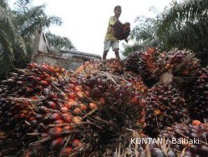 eTrading: Investor layak perhatikan saham BISI, PTBA, dan AALI 