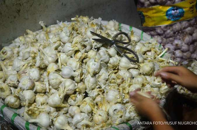 Mentan: Impor dari China dihentikan, pasokan bawang putih aman