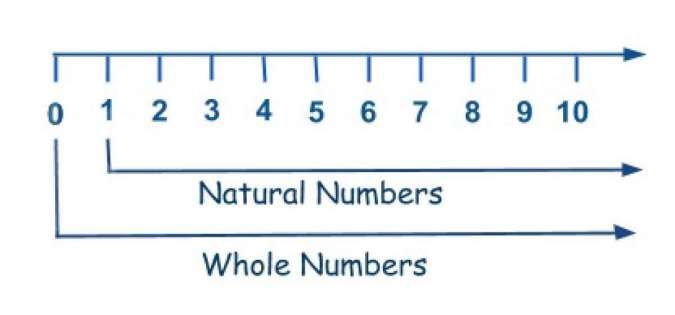 Perbedaan bilangan asli dengan bilangan cacah