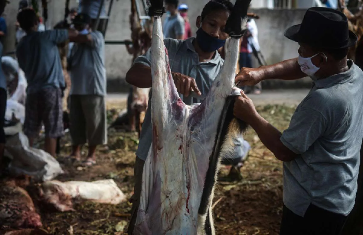 Bagi yang masih punya sisa daging kurban, simpan di kulkas pakai cara ini