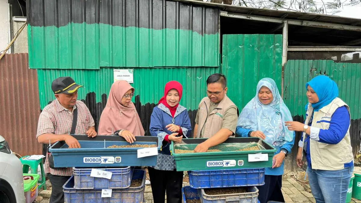 Kurangi Sampah, Garudafood dan Biomagg Dorong Biokonversi Maggot BSF