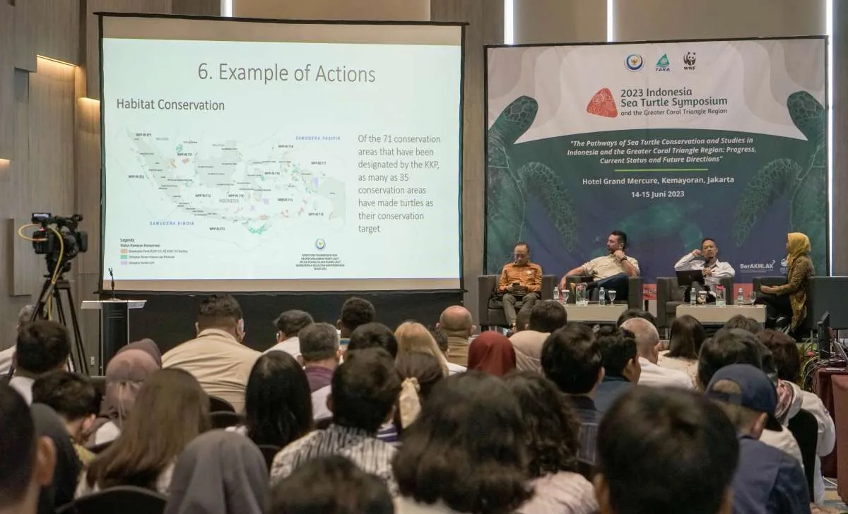 KKP Perkuat Program Konservasi Populasi Penyu